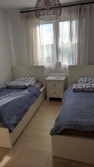 Apartment Arinea